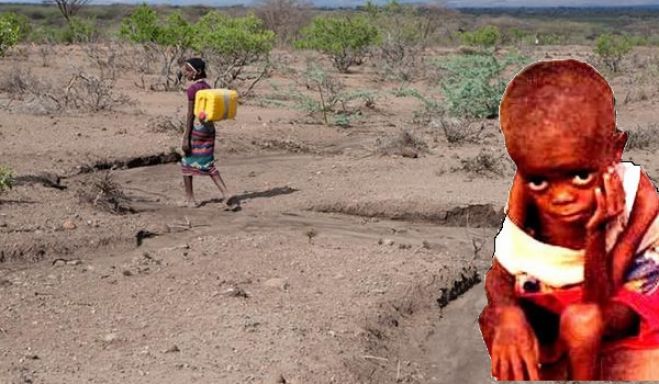 Seca em Angola deixa 1,25 milhões em risco de insegurança alimentar