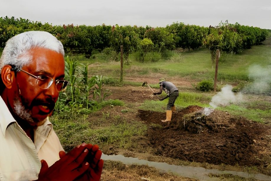 Solos angolanos “são poucos férteis” para a agricultura e precisam de correção – especialista