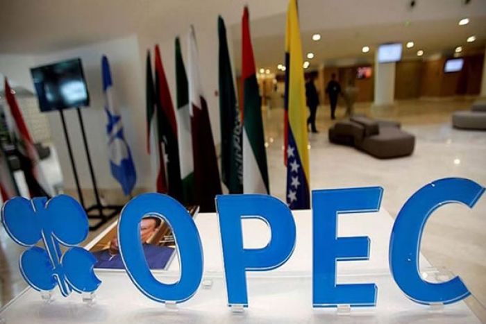 Presença de Angola na OPEP soma “triplas desvantagens” e é “luxo na miséria” – economista