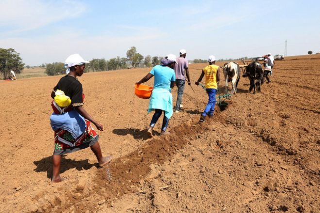 Analistas &quot;duvidam&quot; do plano de João Lourenço para a agricultura