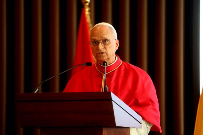 Papa Leão XIV critica lógica extrativista e apela ao diálogo em África