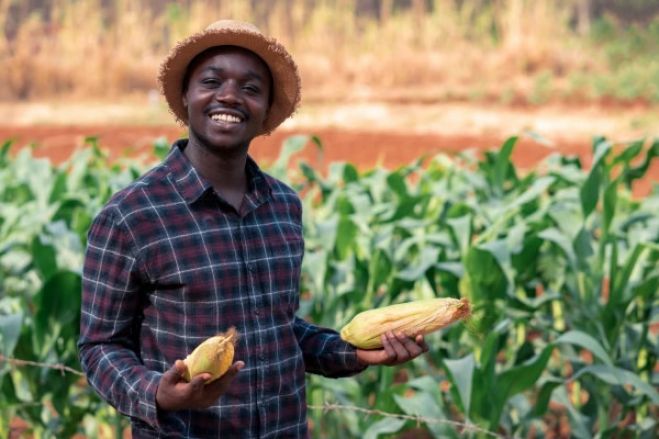 Angola pode aumentar produção agrícola com subsídio à agricultura familiar - ExxonMobil