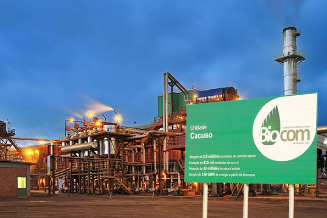 Sonangol abandona Biocom no próximo ano