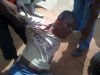 Angola falhou promessa de melhorar direitos humanos - HRW