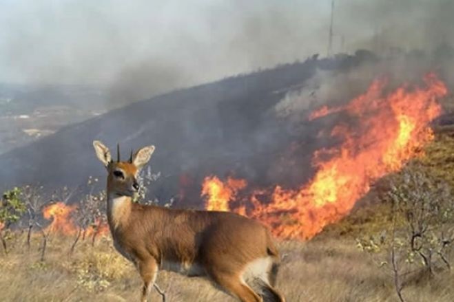 Bispos angolanos condenam devastação ambiental que persiste no país