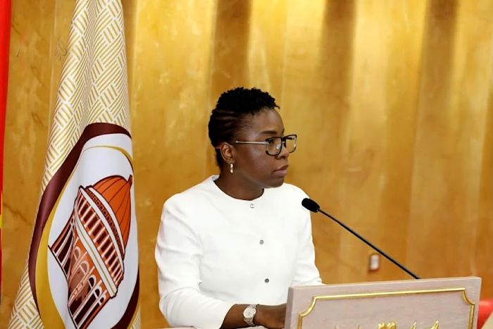 Angola trabalha com &quot;endividamento responsável&quot; devido a ainda insuficiente receita fiscal -- Ministra