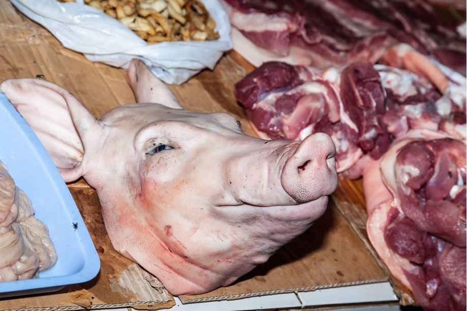Província do Bengo suspende venda de carne de porco por suspeita de peste suína