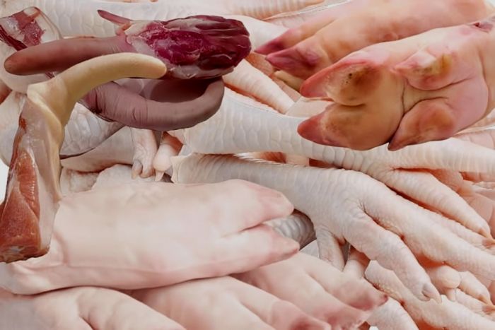 Empresária angolana considera que importar miudezas reflete &quot;falta de dignidade humana&quot;
