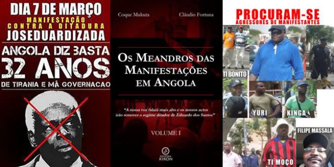 Cidadãos sondam livro sobre as manifestações