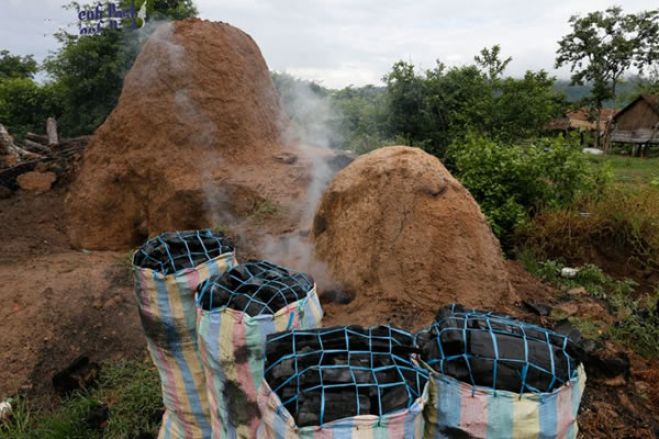 Queimadas de capim e produção de carvão. São estes os fogos em Angola