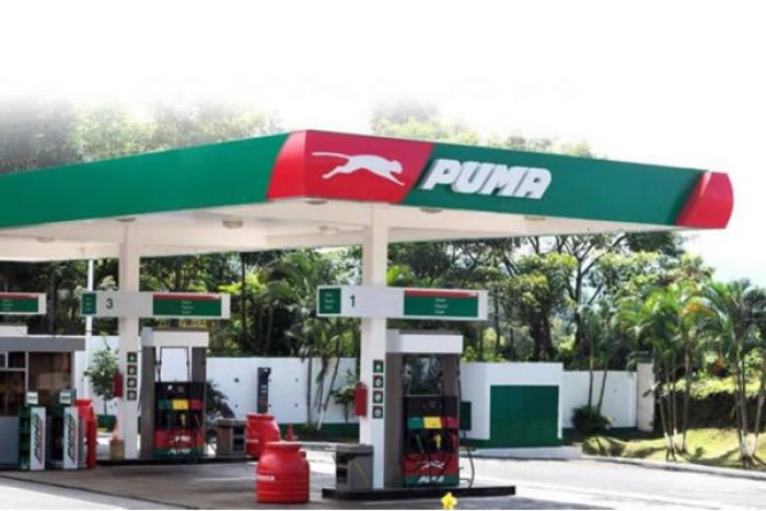 Governo explica que participação na Puma Energy não era &quot;estratégica&quot;