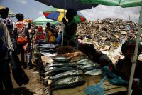 Qualidade de alimentos vendidos nas praças de Luanda representa risco de vida