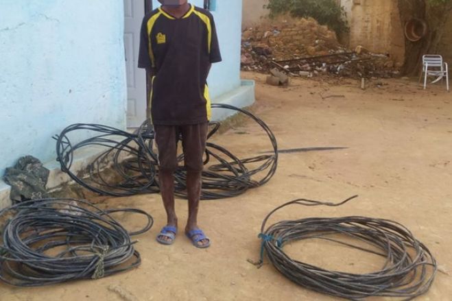 Vandalismo custou 5,5 milhões de euros à rede elétrica angolana - Empresa