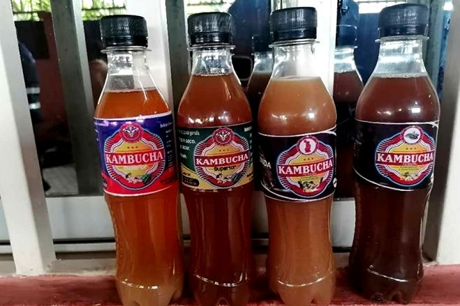 Bebidas caseiras "Kambucha" com ingredientes estragados, não consumir - SIC