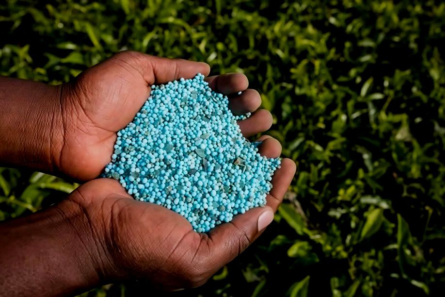 FADA perde rasto a mais de 10 mil milhões de kwanzas em créditos do FertilizAngola
