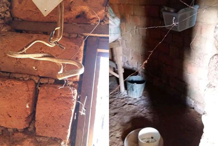 Cidadão electrifica casa devido à assaltos e acaba matando a família por electrocussão