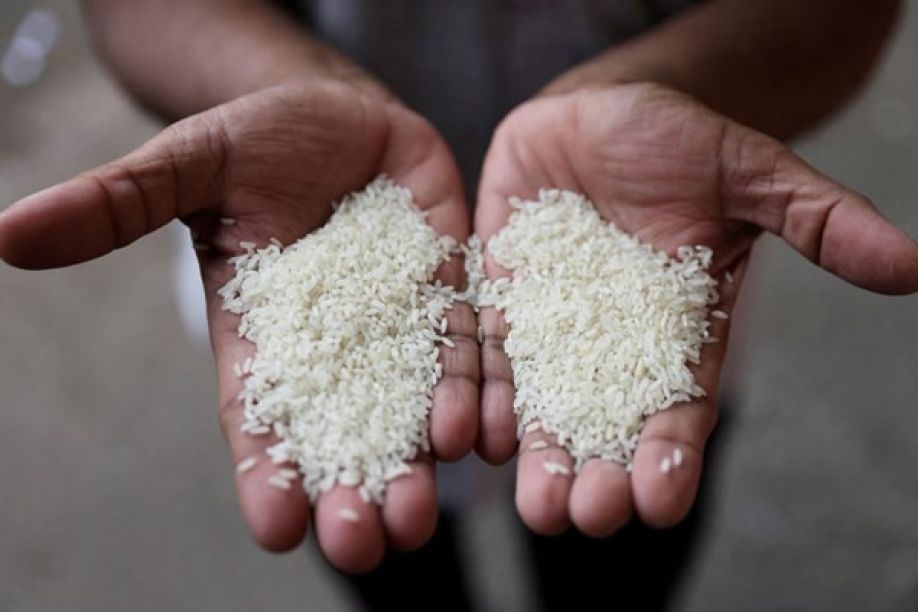 Angola gastou 1,3 mil milhões de euros para importar arroz de 2018 a 2022