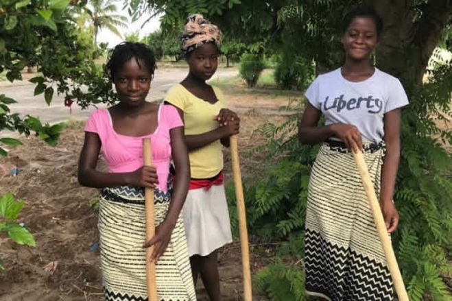 População de Cabinda queixa-se que disparos das FAA com armas pesadas estão a destruir lavras