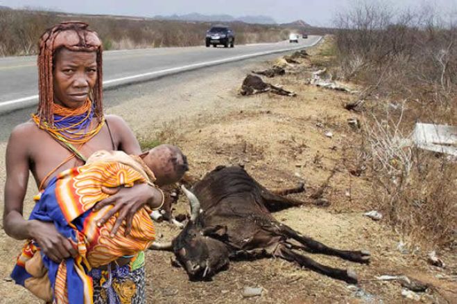 &quot;Sobrevivência em risco.&quot; Amnistia Internacional denuncia fome no Sul de Angola