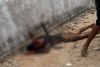 Estrupador linchado no municipio de Belas em Luanda