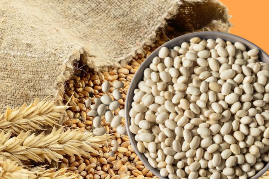 Reserva Alimentar angolana adquire toda produção nacional de soja, arroz, feijão e trigo