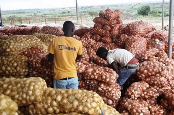 Governo aloca 30 milhões de euros para financiar compras de alimentos nacionais