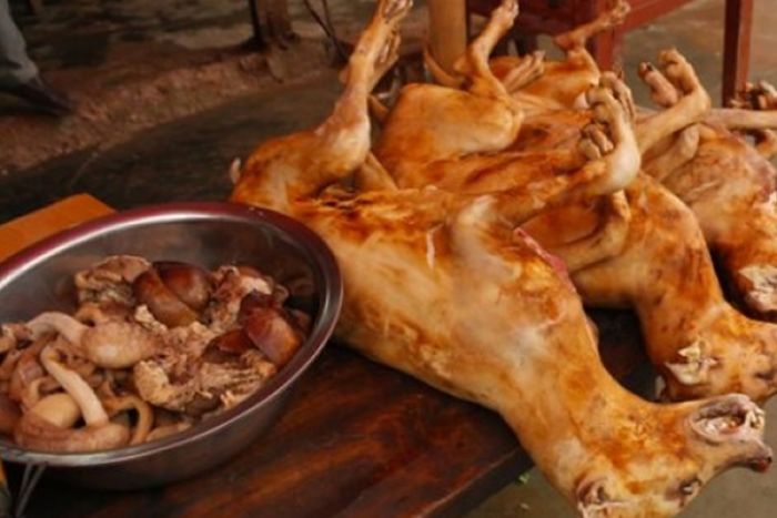 Cidadãos da RDCongo detidos por vender carne de cão