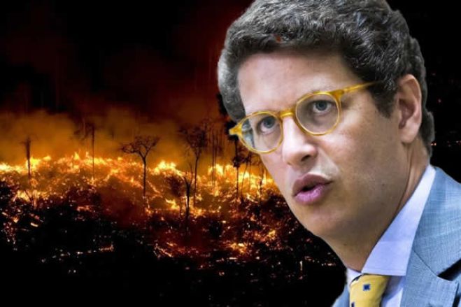 Incêndios em Angola e no Congo superam os da Amazônia - Ministro Brasileiro
