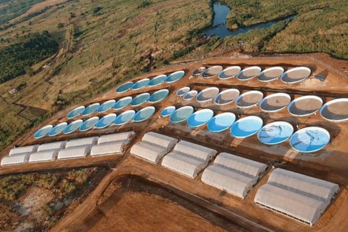 João Lourenço autoriza contrato para revitalizar Centro de Larvicultura e Engorda do Missombo