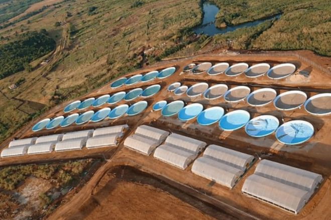 João Lourenço autoriza contrato para revitalizar Centro de Larvicultura e Engorda do Missombo