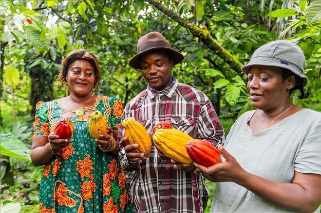 Brasil vai capacitar jovens angolanos na indústria do cacau para impulsionar produção local